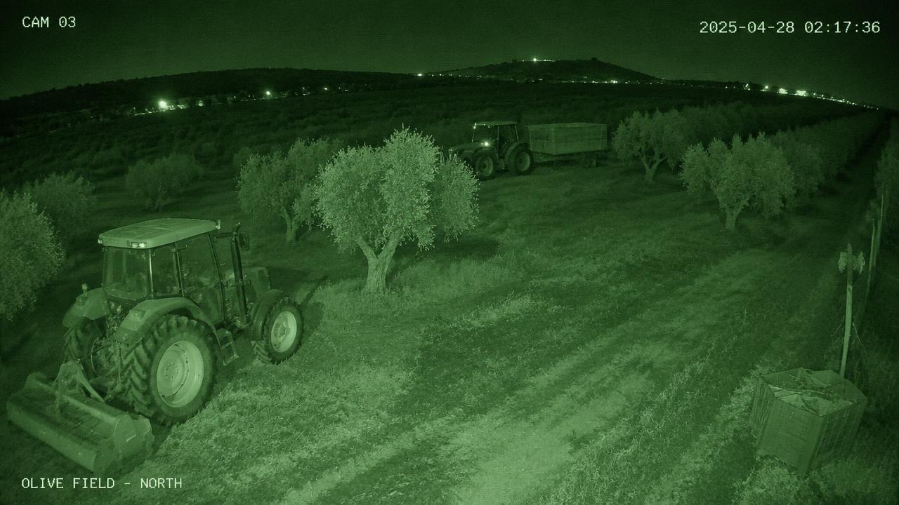 Feed live Sentinel Campo 1